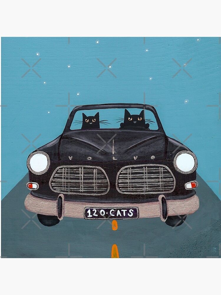 Black Volvo Amazon by kilkennycat