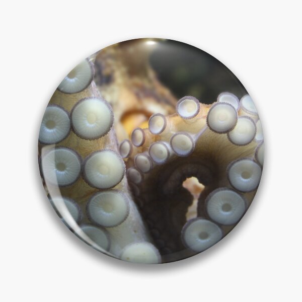 Item preview, Tentacles of octopus close up designed and sold by Grégory DUBUS.