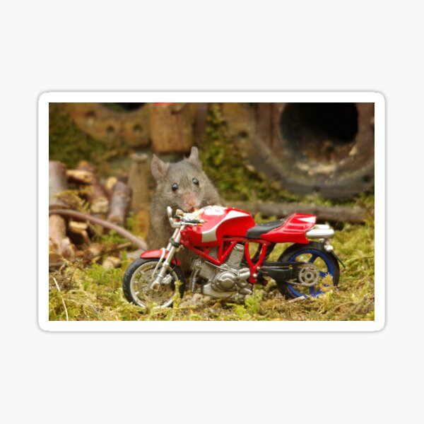 Mouse on a motorcycle 3 Sticker