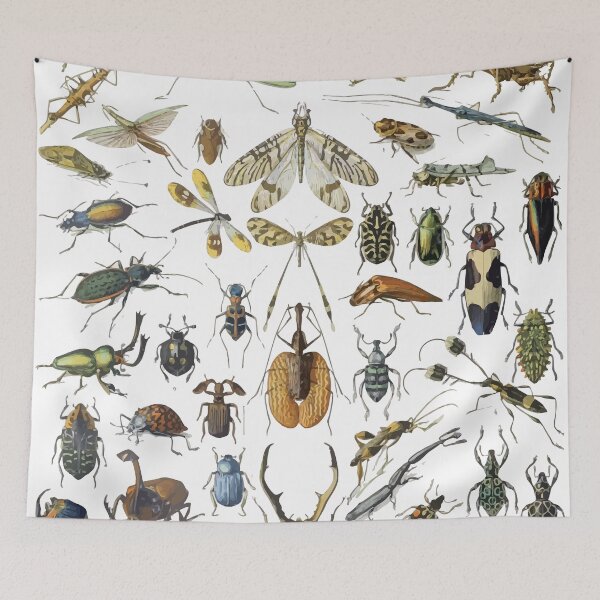 Item preview, Adolphe Millot Insects Spider designed and sold by digitalvintage.