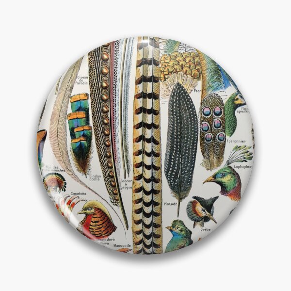 Item preview, Plumes - Feathers (1900) by Adolphe Millot designed and sold by digitalvintage.