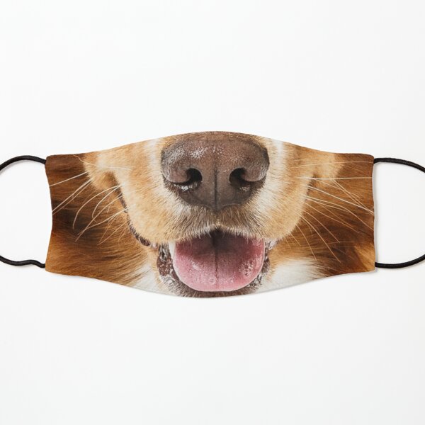Golden Retriever Dog Face Kids Mask