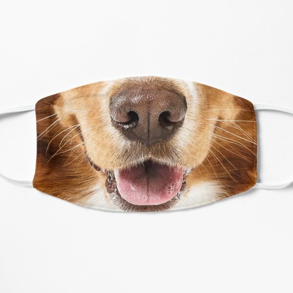Golden Retriever Dog Face Mask