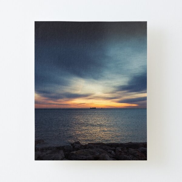 179 - Let go Canvas Mounted Print
