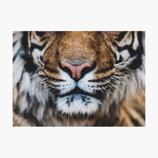 Item preview, Tiger face mask covid  designed and sold by Tropical Blood.