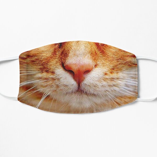 Cat Mouth Face Mask 6 Flat Mask