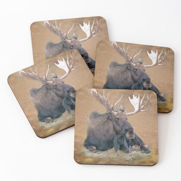 Item preview, Moose designed and sold by Yukondick.