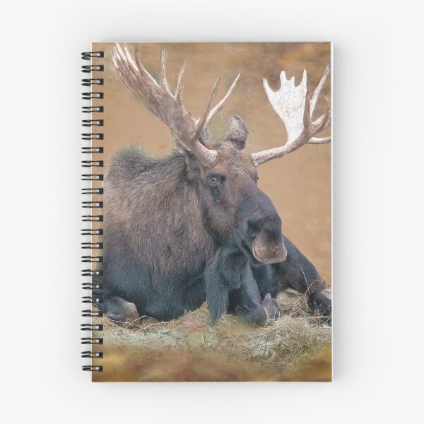 Item preview, Moose designed and sold by Yukondick.