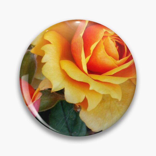 Item preview, Yellow Roses - Vintage Collection - Photography by BranaghBel designed and sold by Branislava Tir .