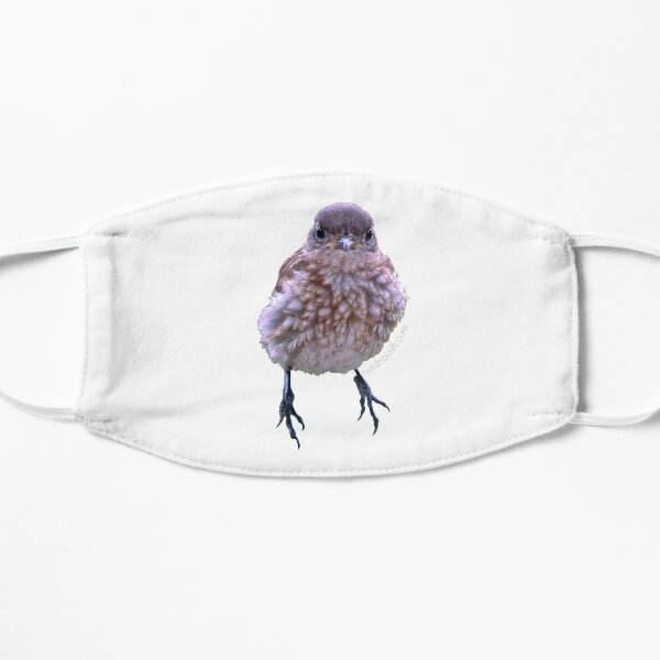Grumpy BB mask Mask