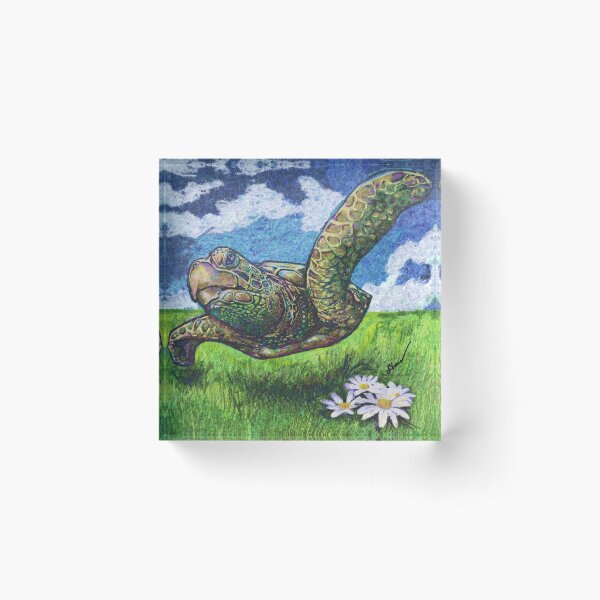 Item preview, Sea Turtle in Flight designed and sold by KrakenSky.