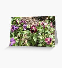 More Outside Flower! Greeting Card