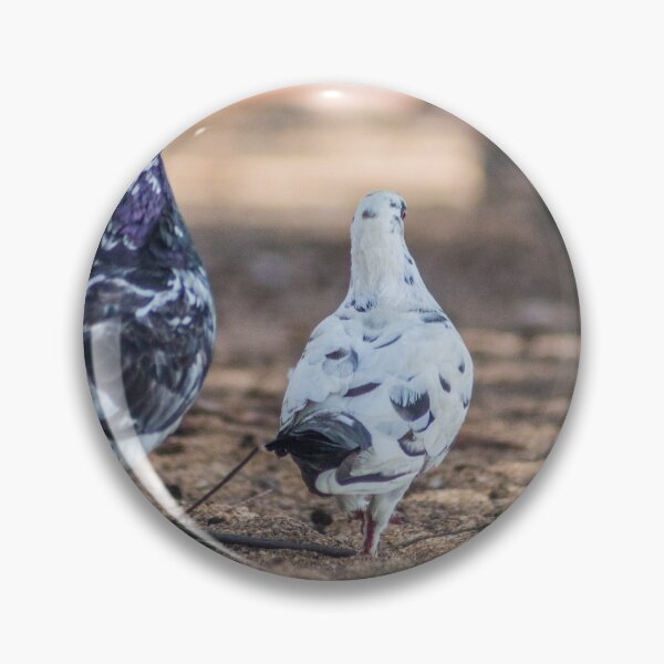 Item preview, Oriental roller and a Pigeon designed and sold by KensLensDesigns.