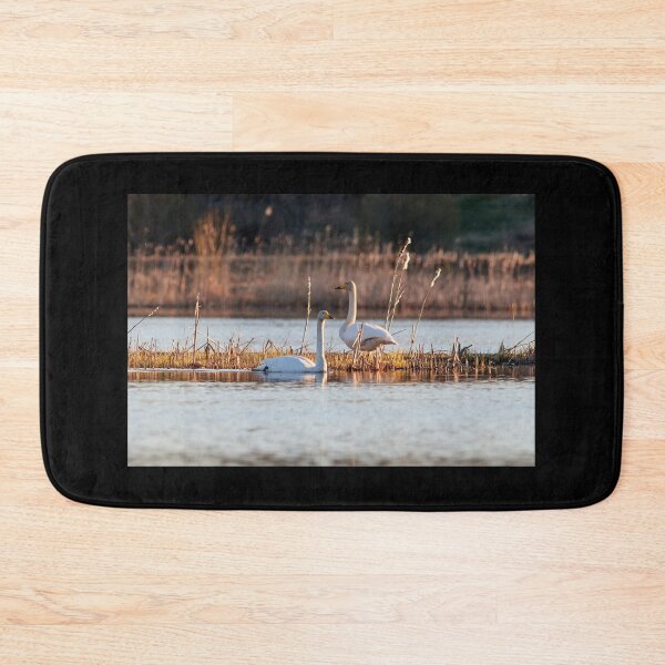 Item preview, The bold couple. Whooper swan designed and sold by Jouko Lehto Photography.