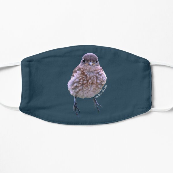 Mürrischer BB Schwarm Maske Ostdrossel-Blau Flache Maske