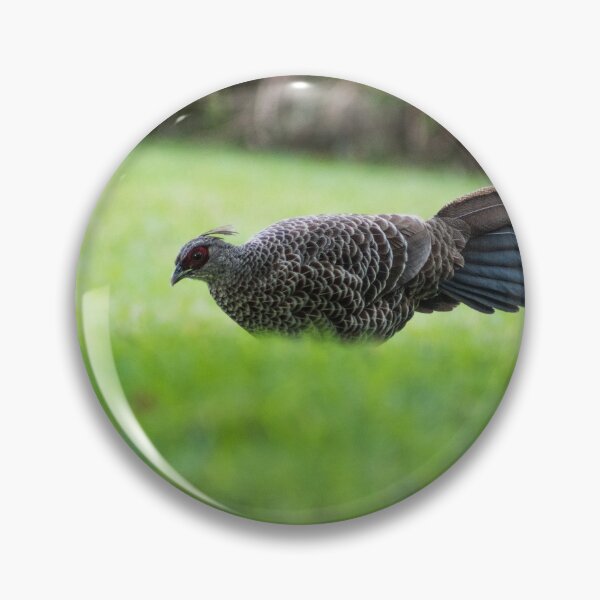 Item preview, Ring-necked pheasant 2 designed and sold by KensLensDesigns.