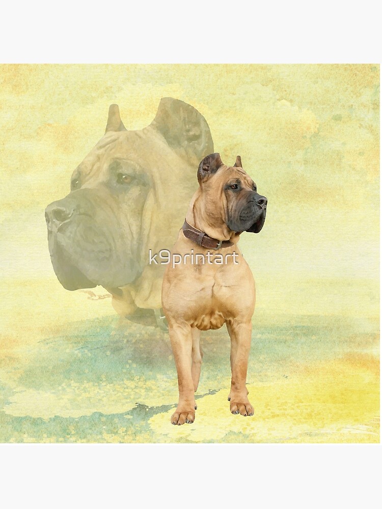 Dogo sales de canario