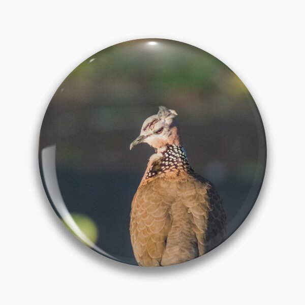 Item preview, Spotted dove in hawaii designed and sold by KensLensDesigns.