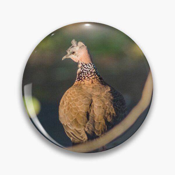 Item preview, Spotted dove designed and sold by KensLensDesigns.