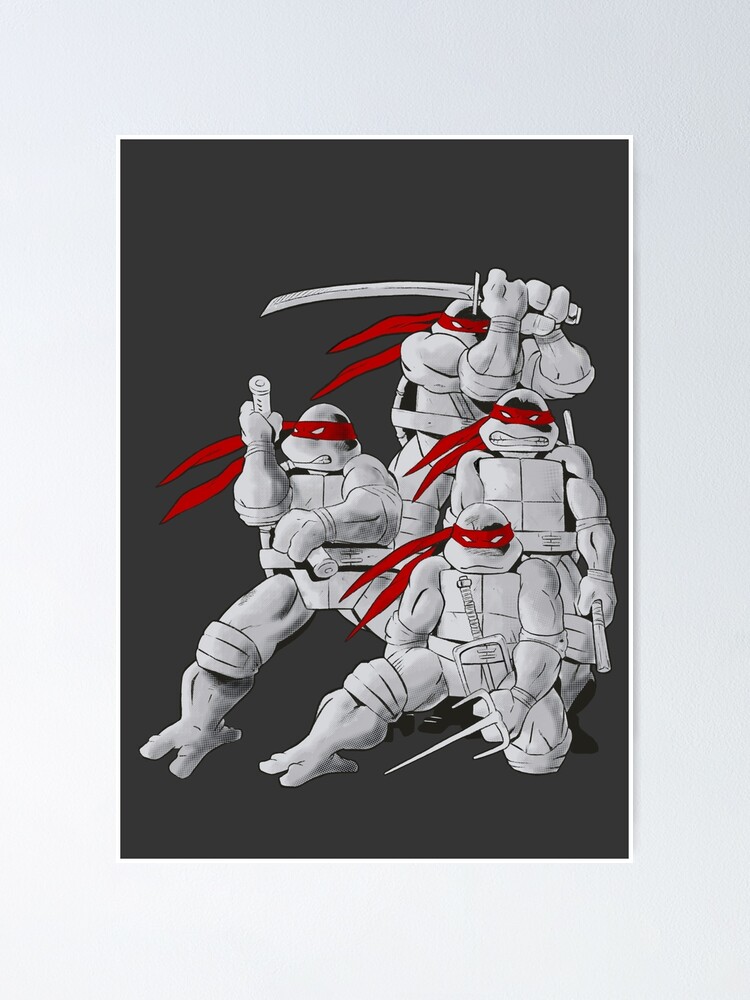 Alternate view of Mirage TMNT Poster