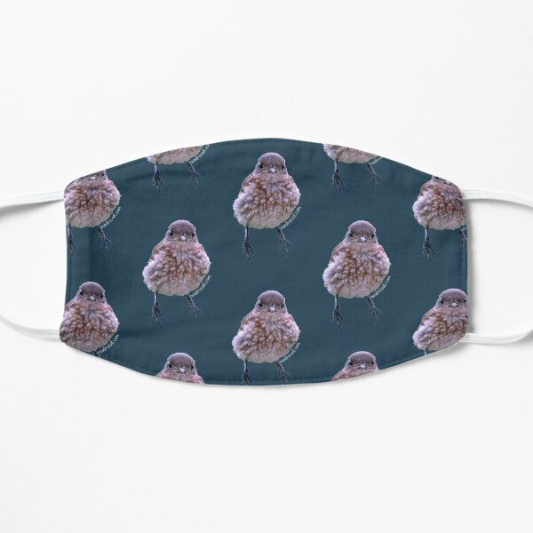 Flock of Grumpy BB mask Ostdrossel blue Mask