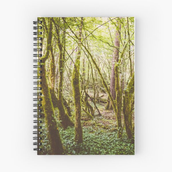 Item preview, Ardennes Forrest Panorama – Belgium designed and sold by lesslinear.