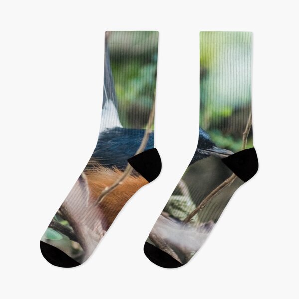 Item preview, White-rumped shama designed and sold by KensLensDesigns.
