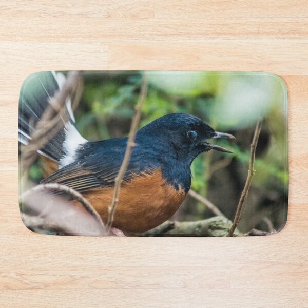 Item preview, White-rumped shama designed and sold by KensLensDesigns.