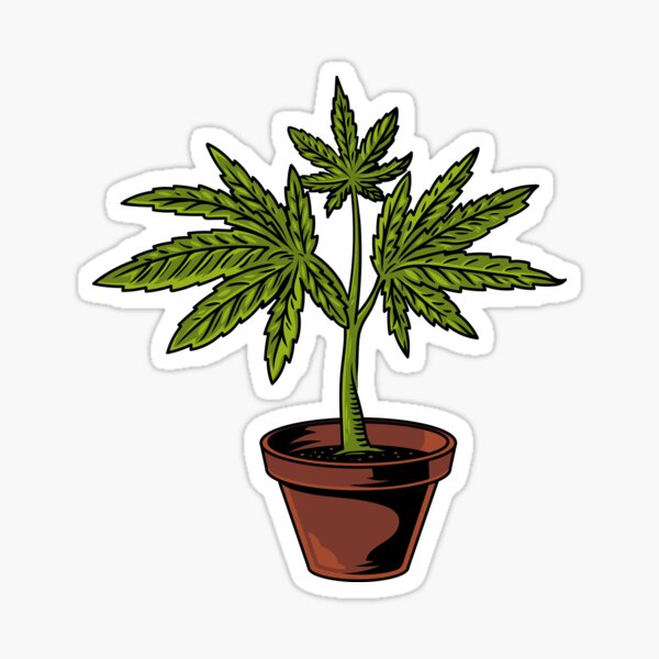 Item preview, Cannabis Plant designed and sold by tambustore.