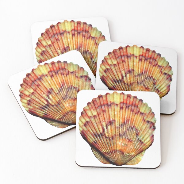 Item preview, Seashell from my Desk designed and sold by dreamie09.