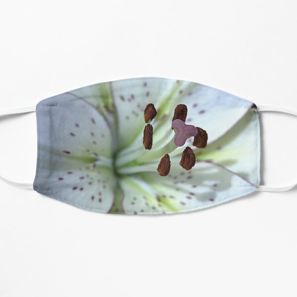 Asiatic White Lily Just Bloomed Oct 2019 Macro face mask Mask