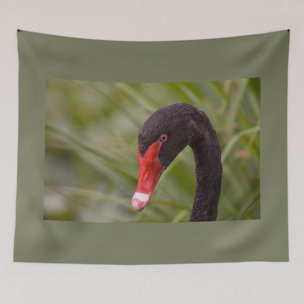 Item preview, Black swan portrait designed and sold by Zina Stromberg.
