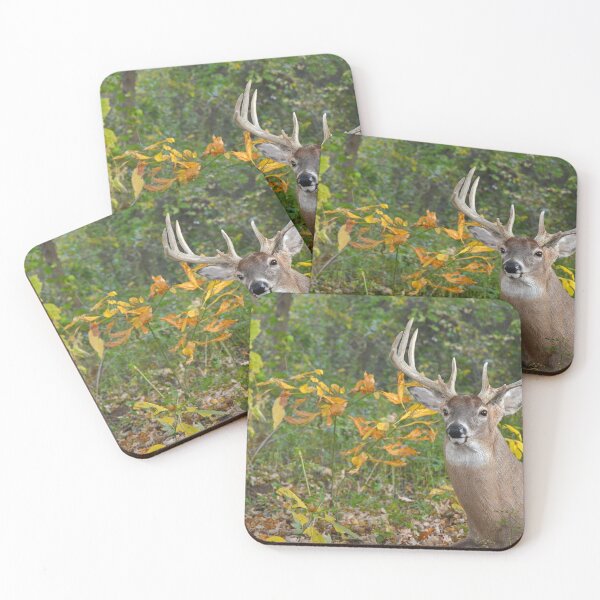 Item preview, Whitetail Buck designed and sold by Maria Dryfhout.