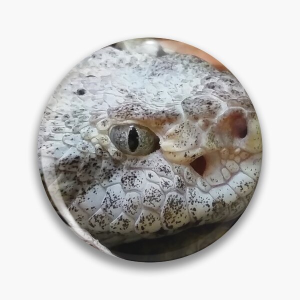 Item preview, Timber Rattlesnake 2 designed and sold by truekaia.