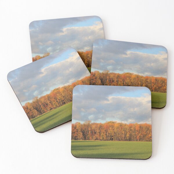 Item preview, Wall of Trees Catching The Morning Sun designed and sold by Jocelyn Sperduto Art.
