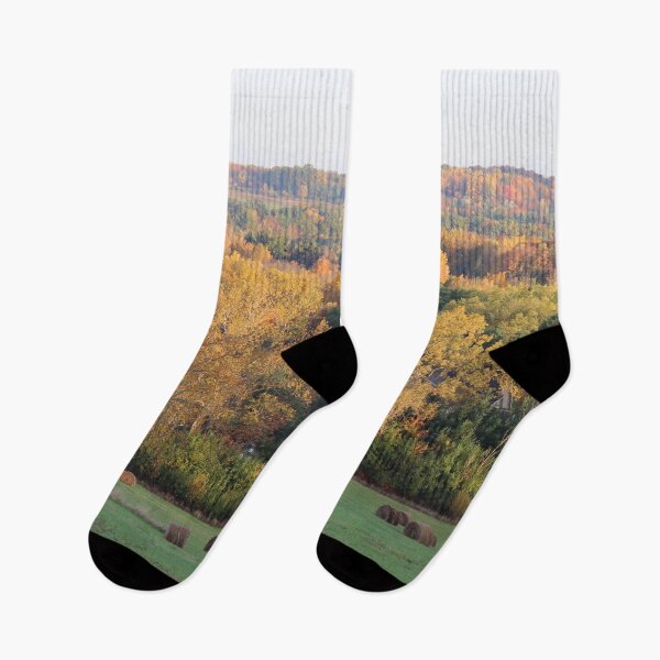 Item preview, Fall View North from Mill Road in East Aurora, NY designed and sold by Jocelyn Sperduto Art.