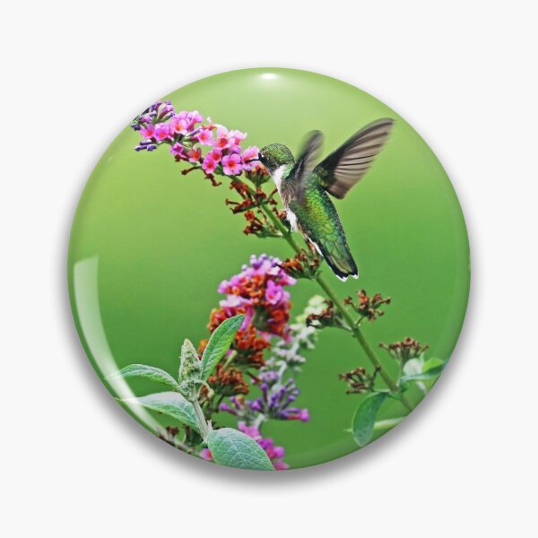 Item preview, Jewel In The Garden designed and sold by Deb Oppermann.