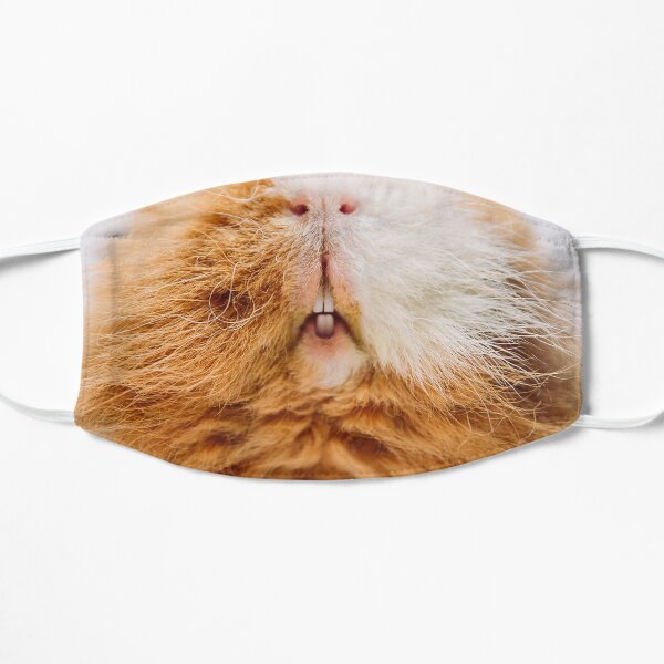 Guinea pig cloth mask Flat Mask