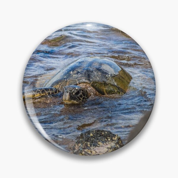 Item preview, Honu  designed and sold by KensLensDesigns.