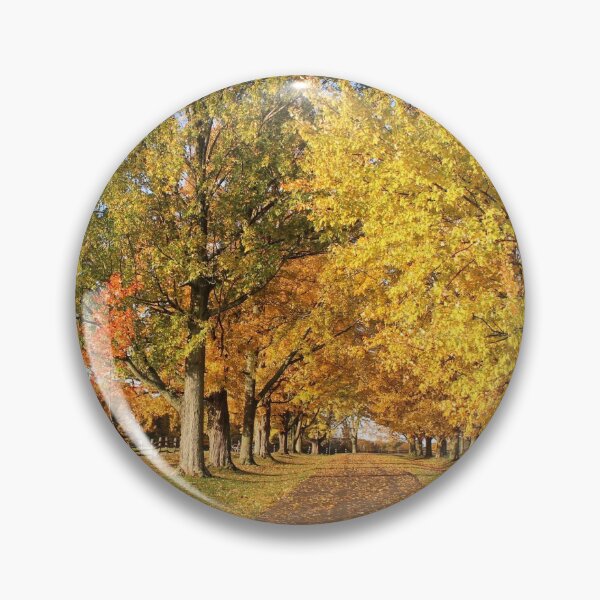 Item preview, Fall Colors at Knox Park Exit Road designed and sold by Jocelyn Sperduto Art.