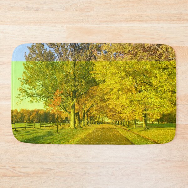 Item preview, Fall Colors at Knox Park Exit Road designed and sold by Jocelyn Sperduto Art.