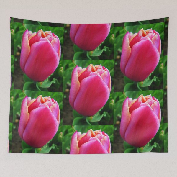 Item preview, Pink Tulip designed and sold by Tjaša Rome.