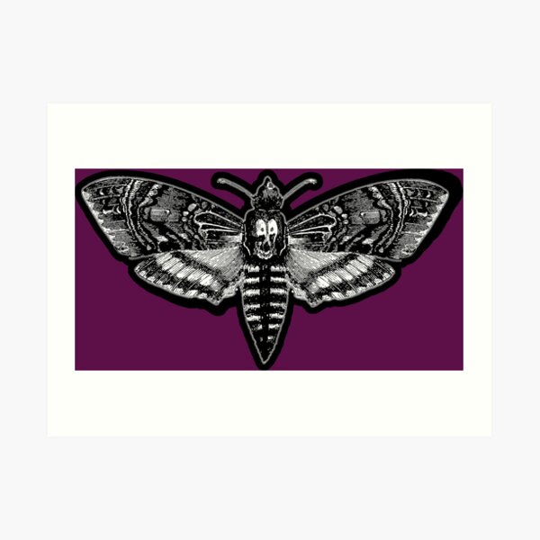 Deaths Head Moth - Silence of the Lambs Art Print