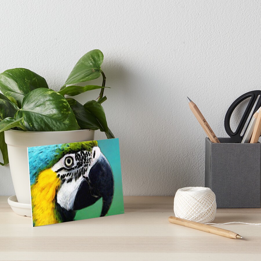 Tropischer Vogel Bunter Ara Galeriedruck Von Sharoncummings Redbubble