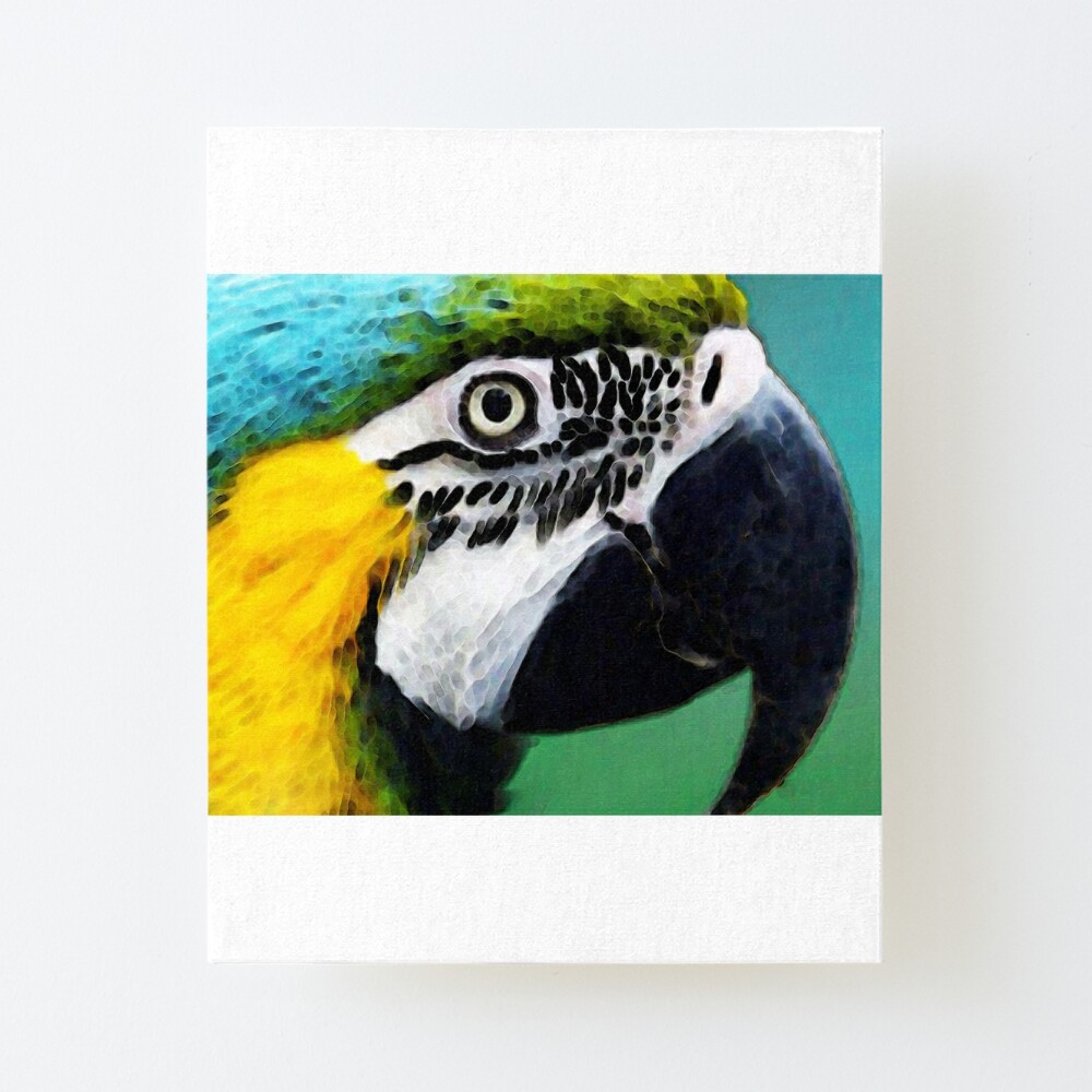 Tropischer Vogel Bunter Ara Galeriedruck Von Sharoncummings Redbubble