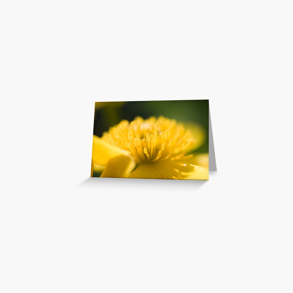 Item preview, Greeting Card designed and sold by petegrev.
