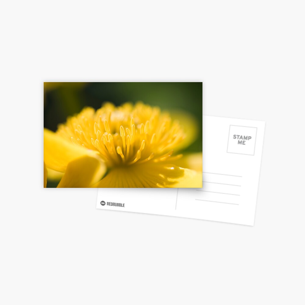 Item preview, Postcard designed and sold by petegrev.