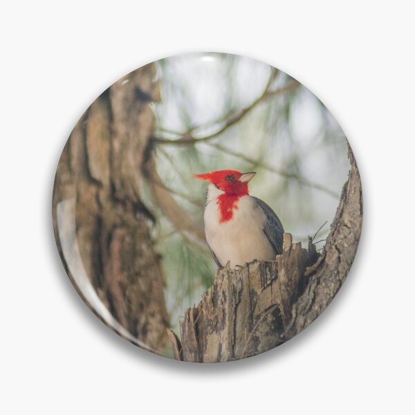 Item preview, Red Crested Cardinal designed and sold by KensLensDesigns.