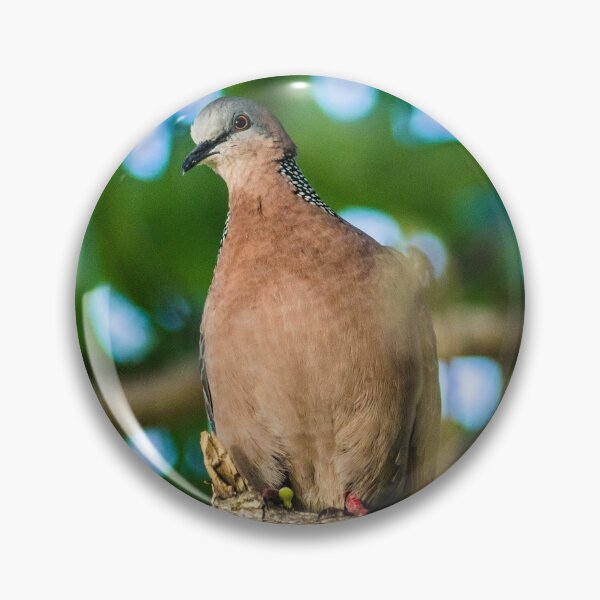 Item preview, Spotted Dove designed and sold by KensLensDesigns.