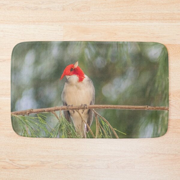 Item preview,  Red Crested Cardinal 3 designed and sold by KensLensDesigns.